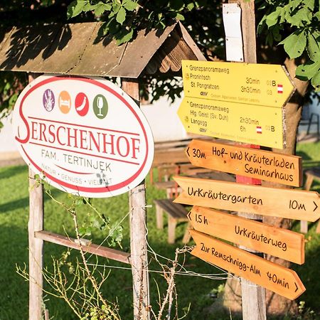 Serschenhof- Auszeit Ueber Dem Stall Leutschach Kültér fotó