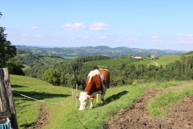 Serschenhof- Auszeit Ueber Dem Stall Leutschach Kültér fotó