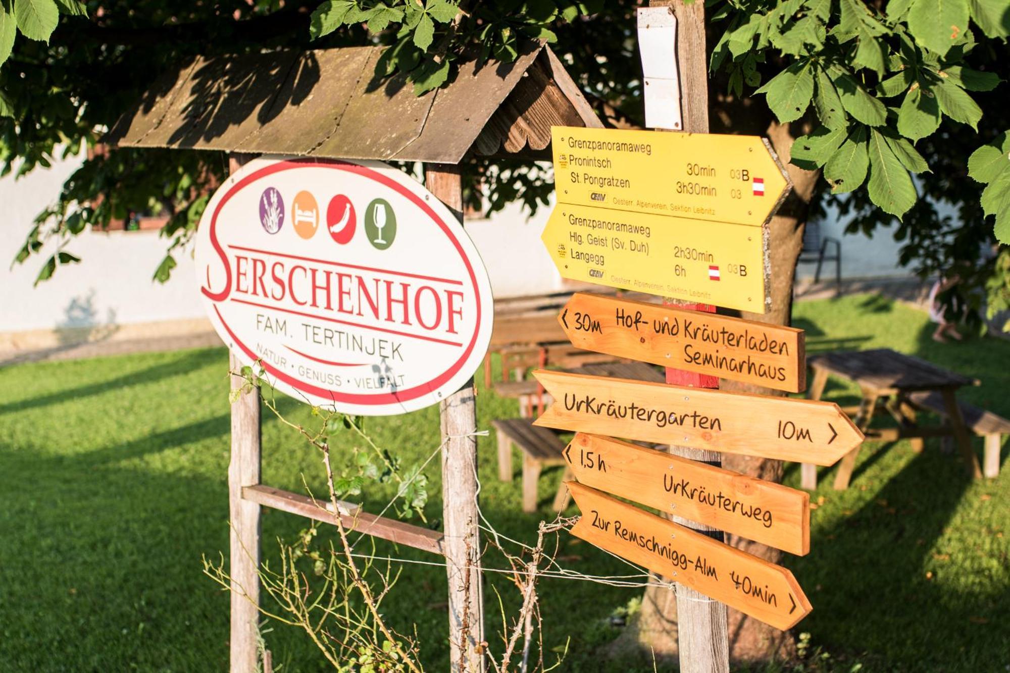 Serschenhof- Auszeit Ueber Dem Stall Leutschach Kültér fotó